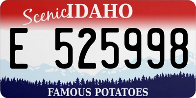 ID license plate E525998