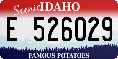 ID license plate E526029