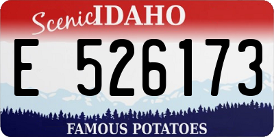 ID license plate E526173