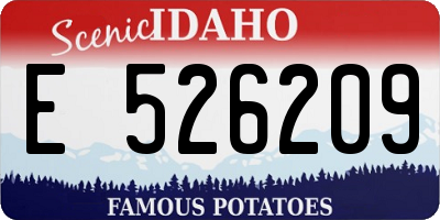 ID license plate E526209