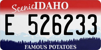 ID license plate E526233