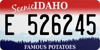 ID license plate E526245