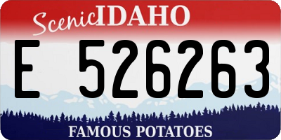 ID license plate E526263