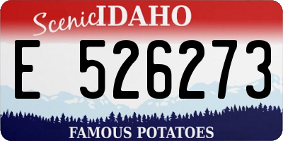 ID license plate E526273