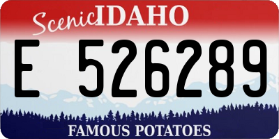 ID license plate E526289