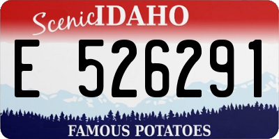 ID license plate E526291