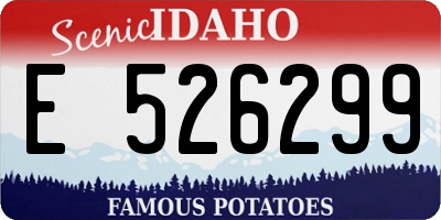 ID license plate E526299