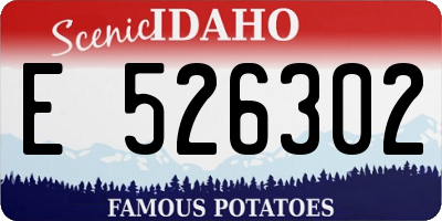 ID license plate E526302