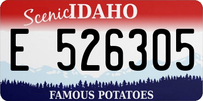 ID license plate E526305