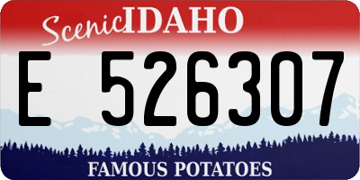 ID license plate E526307