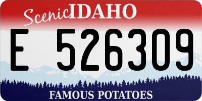 ID license plate E526309
