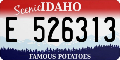 ID license plate E526313