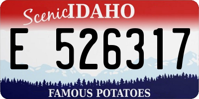 ID license plate E526317
