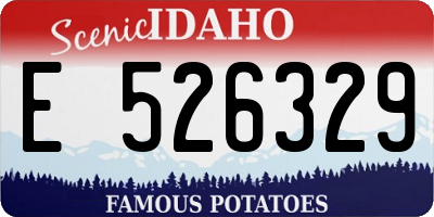 ID license plate E526329