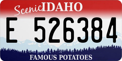 ID license plate E526384