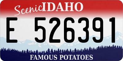 ID license plate E526391