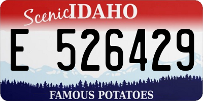 ID license plate E526429