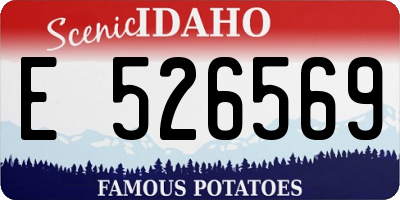 ID license plate E526569