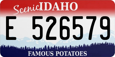 ID license plate E526579
