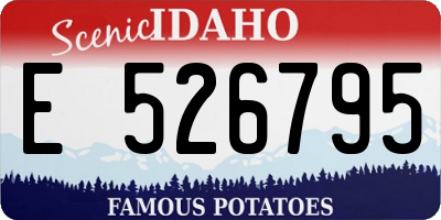 ID license plate E526795