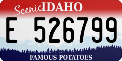 ID license plate E526799