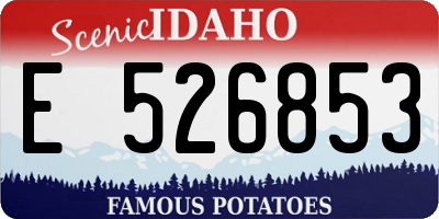 ID license plate E526853