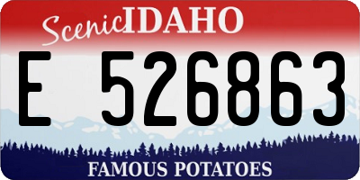 ID license plate E526863