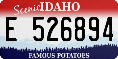 ID license plate E526894