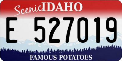 ID license plate E527019
