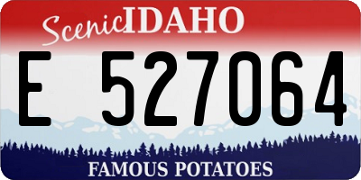 ID license plate E527064