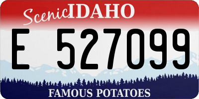ID license plate E527099
