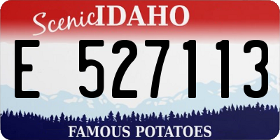 ID license plate E527113
