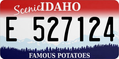 ID license plate E527124