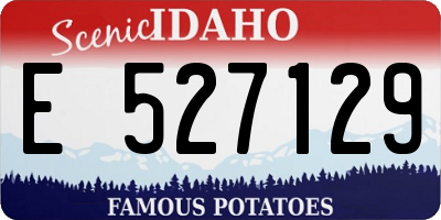 ID license plate E527129