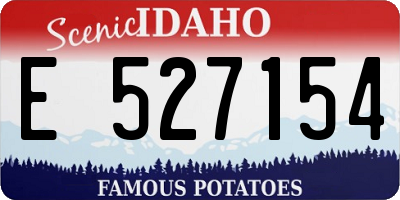 ID license plate E527154