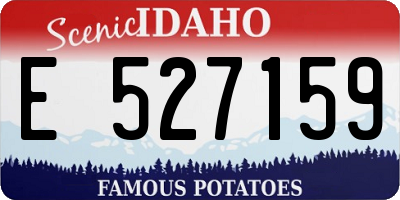 ID license plate E527159