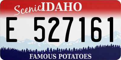 ID license plate E527161