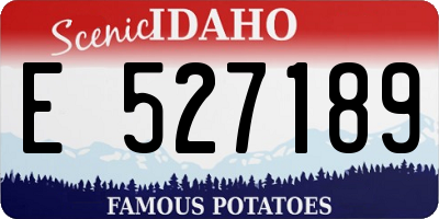 ID license plate E527189
