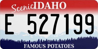 ID license plate E527199