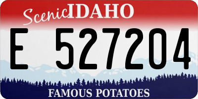ID license plate E527204