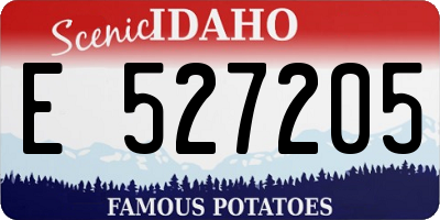 ID license plate E527205