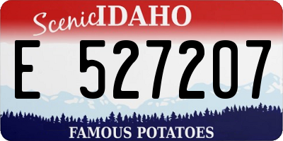 ID license plate E527207
