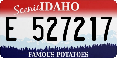 ID license plate E527217