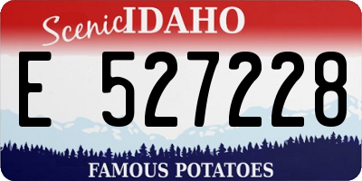 ID license plate E527228
