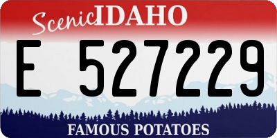ID license plate E527229