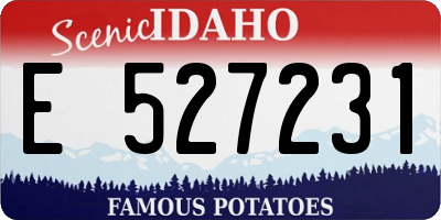 ID license plate E527231