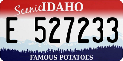 ID license plate E527233