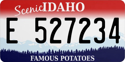 ID license plate E527234