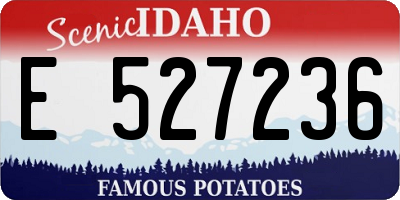 ID license plate E527236
