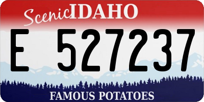 ID license plate E527237